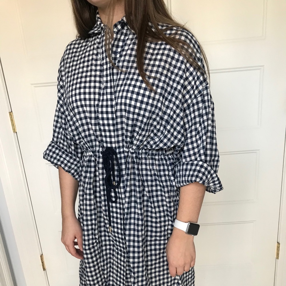 Zara plaid waisted dress
